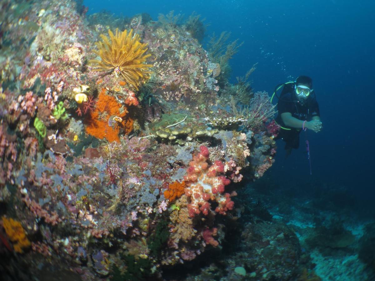 Hamueco Dive Raja Ampat